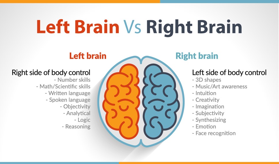 Left Brain vs Right Brain